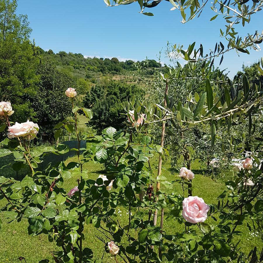 L'Albero Di Gameli Bed and Breakfast Chiusi Buitenkant foto