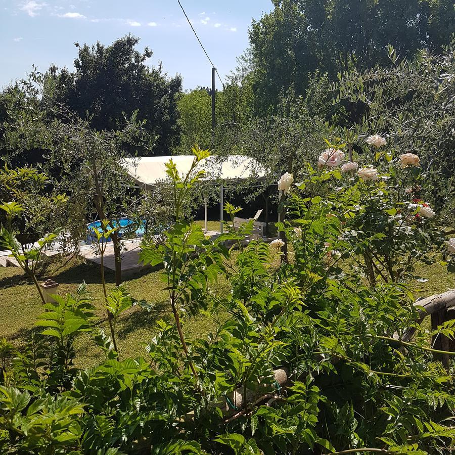 L'Albero Di Gameli Bed and Breakfast Chiusi Buitenkant foto