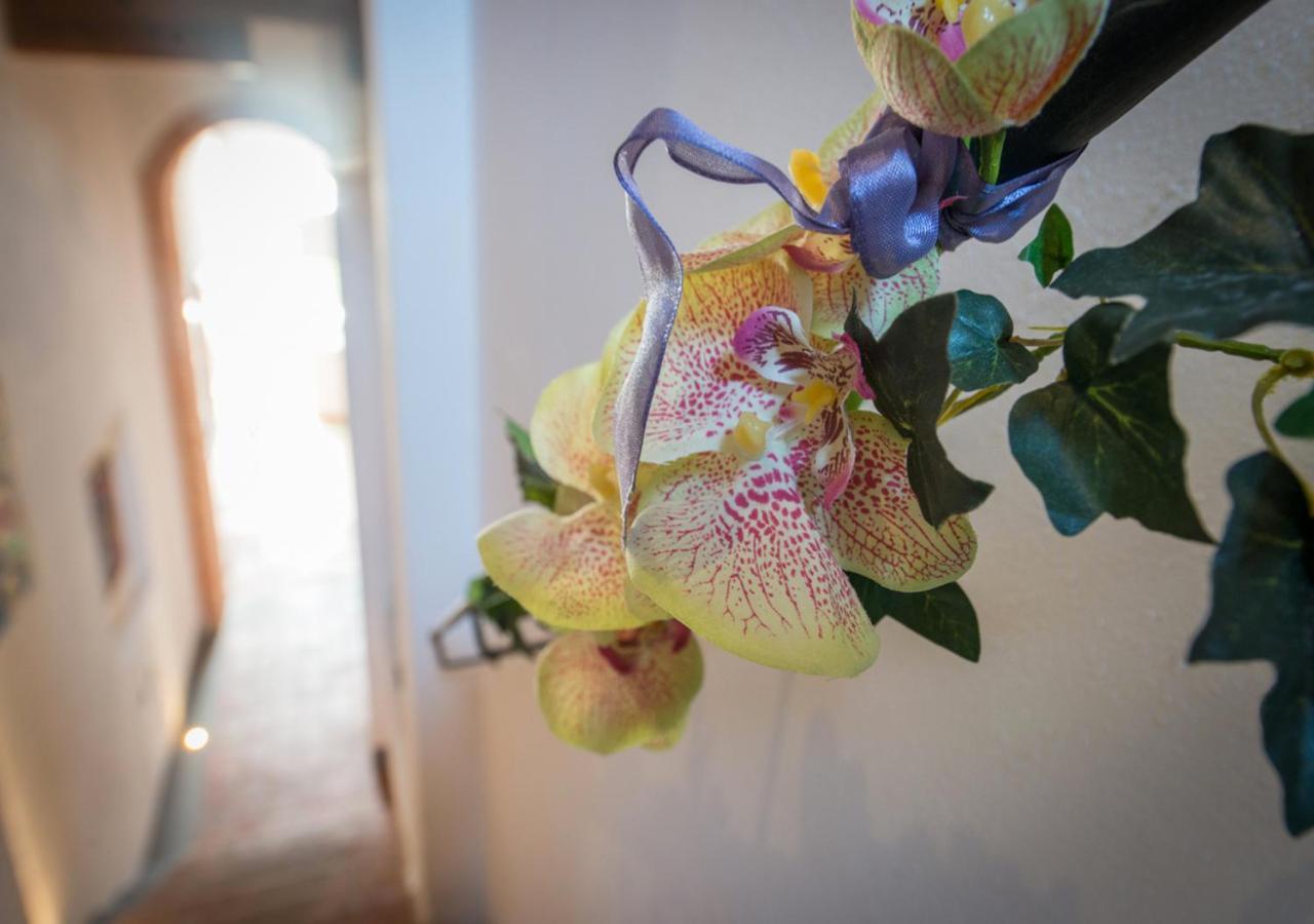 L'Albero Di Gameli Bed and Breakfast Chiusi Buitenkant foto